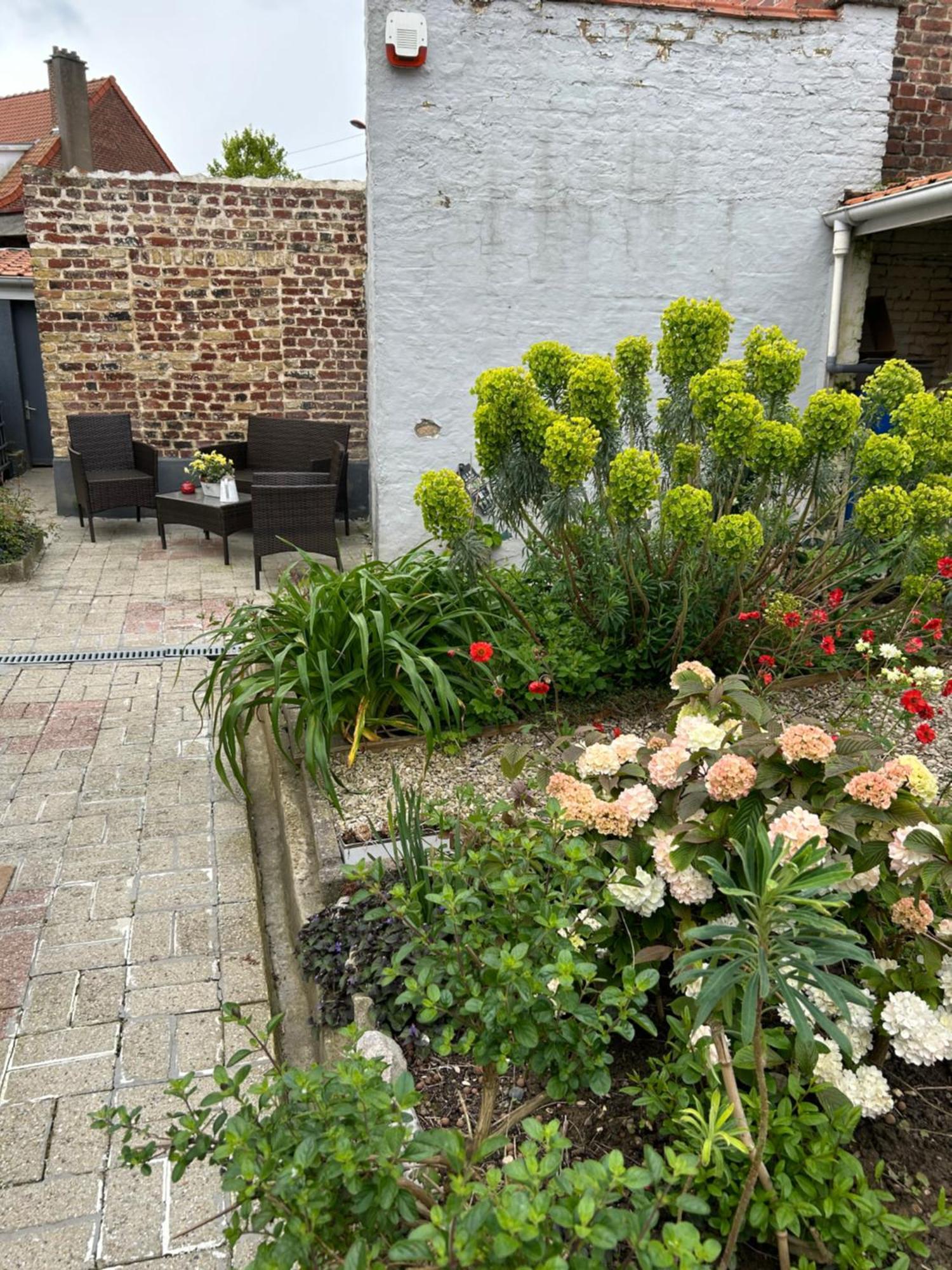 Appartement Avec Jardin 3 Couchages Proche Port Des Fontinettes Arques  Exteriér fotografie